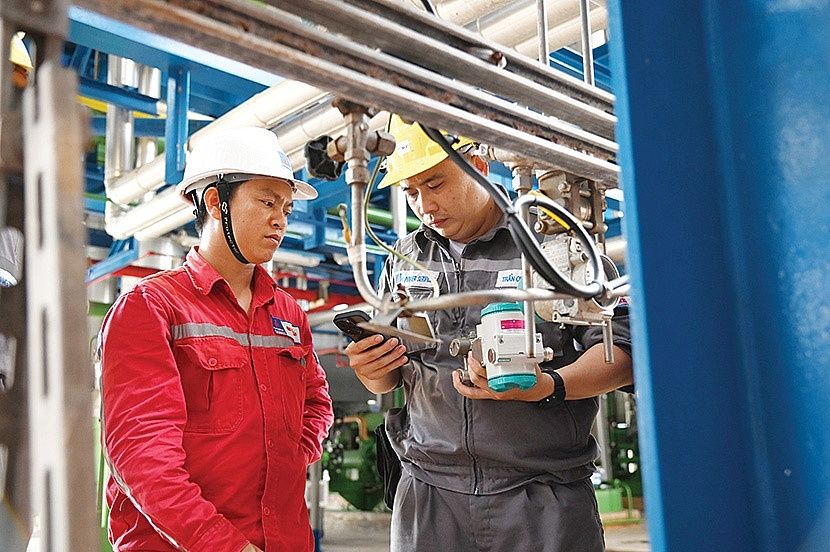 cay-sang-kien-tai-nha-may-dien-ca-mau-12-20230726103227.jpg?rt=20230726103229