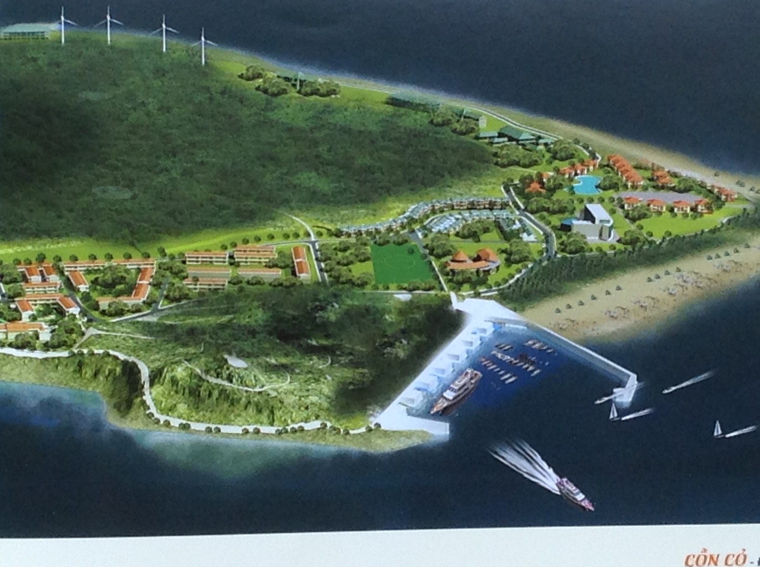 Quảng Trị bàn giao nguồn, lưới điện trên đảo Cồn Cỏ cho EVN