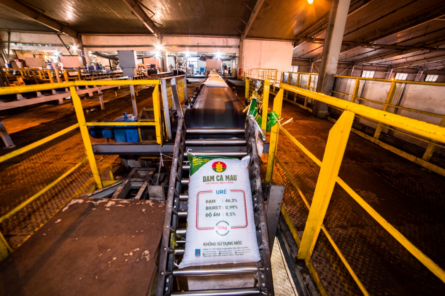  DCM lần đầu tiên lọt vào Danh sách 50 công ty niêm yết tốt nhất Việt Nam do Forbes Việt Nam bình chọn