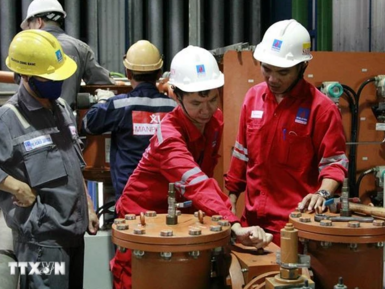 PV Power reports July revenue of 2.06 trillion VND, projects further growth in August