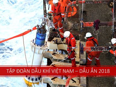 TẬP ĐOÀN DẦU KHÍ VIỆT NAM - DẤU ẤN 2018