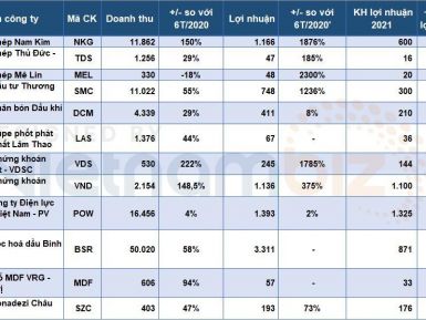 Nhiều doanh nghiệp vượt xa kế hoạch lợi nhuận năm chỉ sau 6 tháng
